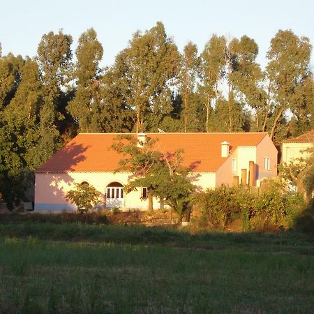 Casal Da Juge Hotell Torres Novas Exteriör bild