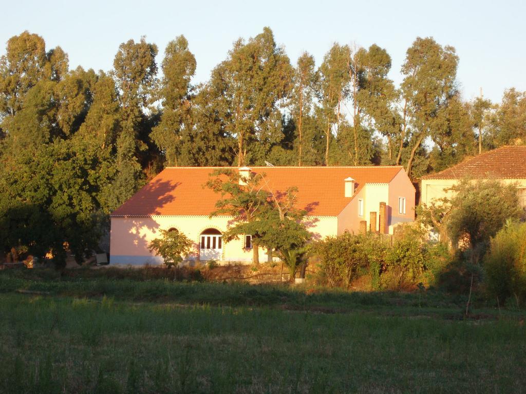 Casal Da Juge Hotell Torres Novas Exteriör bild